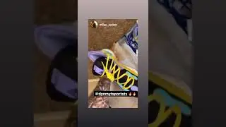 Top Adidas Colorway Addidas Sneaker Basketball Shoe (must see) college to professional 🏀🌯🥤#adidas