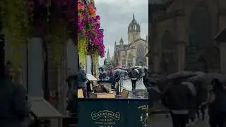 Umbrellas and Edinburgh 🌧☔️ Ember Island