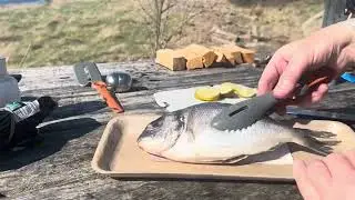 Cook-trekking Ep.61 Bushbox Pan-fried Whole SEABREAM..