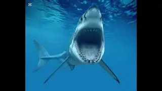 Top 7 Most Dangerous Animals on Earth🤯🔥😱#dangerousanimals  #deadliestanimals  #animalfacts 