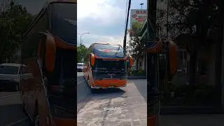 QUEENIMA😍#shorts #shortvideo #busmania #basuribussid #basuri #buspariwisata #telolet #automobile