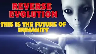 Заголовок: Ты никогда не умрёшь &ndash; Парадокс квантового бессмертия #quantumfacts