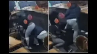 Spider Monkey's attack Waitress...