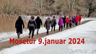 Mosetur jan 2024