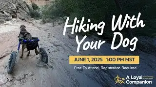 Hiking with Your Dog