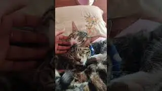 don't disturb us