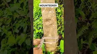 Mounteering Basic Knot🪢 #mounteering knot #mountains #adventuretime
