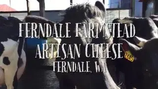 Haggen Farmer Spring Update | Ferndale Farmstead Cheese Artisans