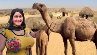 Desert Woman Village Life | Ancient Culture |Traditional Cooking | Morning Routine woman in pakistan