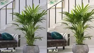 Honor 9i Vs Xiaomi Mi A2 Camera Comparison | SIDtech Talk