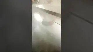 tasty smoke