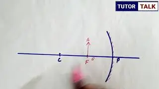 Ray diagram for Concave Mirror | When object is placed at Focus | Tutor talk