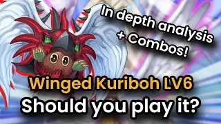 Yu-Gi-Oh! New HERO Support! Winged Kuriboh LV 6 - Should We Play It? In Depth Discussion + Combos