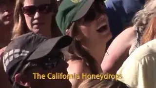 The California Honeydrops play 
