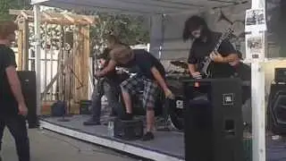 Phaneron