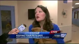 Remember your pet's safety in this cold weather