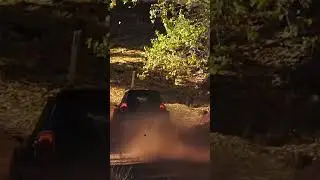 Eli Evans, Mini Cooper AP4 | Forest Rally, WA