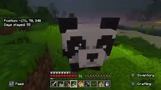 Silent Minecraft Survival | Day 55 &ndash; Future Planning (No Commentary)