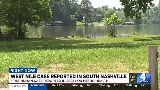 Health officials report Nashville&rsquo;s first human case of West Nile Virus in 2025