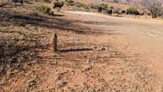 Video of Wild Horse Equestrian Area &mdash; Caprock Canyons State Park, TX from Vidalia S.