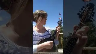 Golden Ticket by The Infamous Stringdusters #mandolin #music #fyp #bluegrass #instrumental #guitar