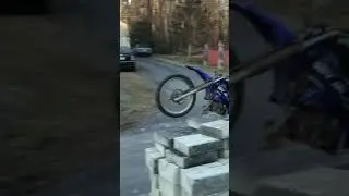 Wheelie king