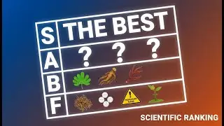 T-Booster Ingredients: Ranked From Worst to Best