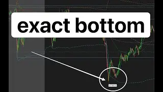 $7800 green, The algo target we predicted hit :)