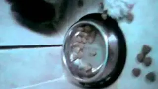La jambre qu&eacute;hmumala