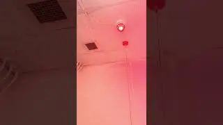 Real Fire Alarm, Start of Real Evacuation Video, Added By Demand