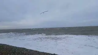 Tempête Eunice au Havre