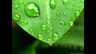 Relaxing Sleepy Sounds of Summer Rain/Расслабляющие Усыпляющие Звуки Летнего Дождя
