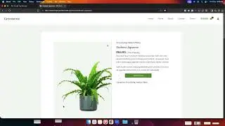 Class 39    How to Enable DataLayer in Custom Made Website