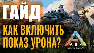 КАК ВКЛЮЧИТЬ ОТОБРАЖЕНИЕ УРОНА? #ГАЙД ДЛЯ НОВИЧКОВ! Ark: Survival Evolved