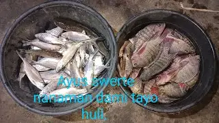 Ayus swerte nanaman dami tayo huli, at myrun tayo pang bigas bigas, #fishing #fish 307