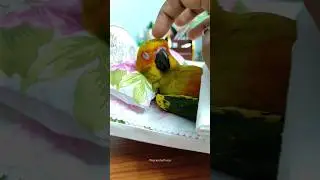 Funny 🤣 Small pillows and cot with mattress for my chicks #pets #shorts #funny #cute #miniature