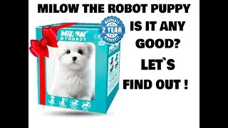 MILOW THE ROBOT PUPPY SCAM EVERYONE BEWARE