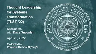 Session #5 with Dave Snowden &mdash; Thought Leadership for Systems Transformation (TLST '22)