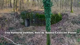 Une batterie oubliée, bois de Sainte-Croix-en-Plaine (1914-1918)