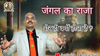 जंगल का राजा | शेर | ही क्यों होता है ? | #motivational #motivation @AmbrishMishraStar