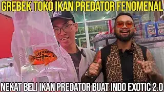 GREBEK TOKO IKAN PREDATOR FENOMENAL NEKAT BELI IKAN PREDATOR BUAT INDO EXOTIC 2.0