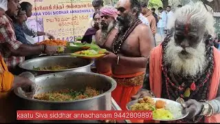 FEB 2/2026)Tiruvannamalai சாதுக்கள் மற்றும் கிரிவலம்  வரும் பக்தர்களுக்கு அன்னதானம்