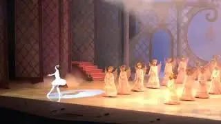 Gota de Roc&iacute;o del ballet El Cascanueces de Vicente Nebrada