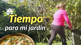 Un día simple en Casa y Jardín 🌿 Caminata, jardín, orden y pescado con coco