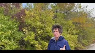 Pneumonia Support Tips | Natural Lung Health Remedies with Dr. Beth
