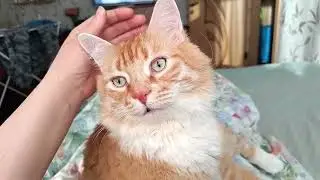 Кузико Пузико всë шикарно🤗, царь отдыхает😂мама боляка🥲  