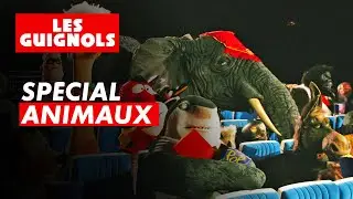 Best-of spécial ANIMAUX - Les Guignols - CANAL+