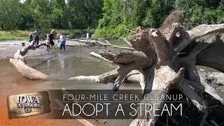 Four-Mile Creek | Adopt a Stream
