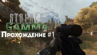 STALKER ANOMALY GAMMA Прохождение - #1