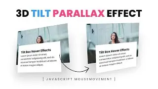 Card Parallax Effect Using Vanilla JS, HTML & CSS | Programming Project | Coding Project | Themidom